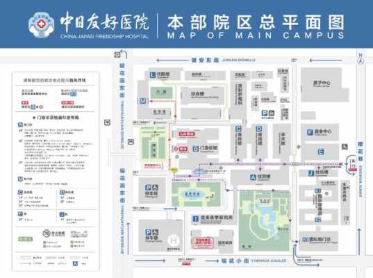 中日友好医院公交路线（中日友好医院坐几路公交车）-图3