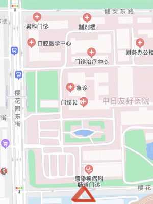 中日友好医院公交路线（中日友好医院坐几路公交车）-图1