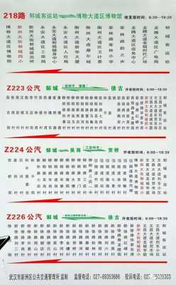 新洲公交路线（新洲的公交车多长时间一趟）-图1