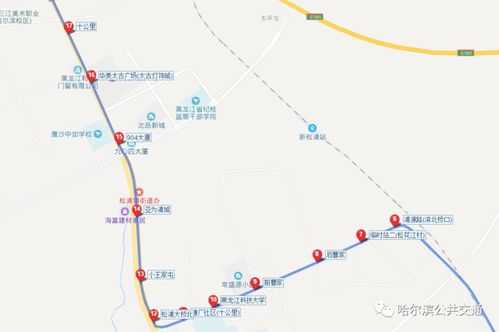 江北到哈东站公交路线（江北到哈东站公交路线查询）-图1