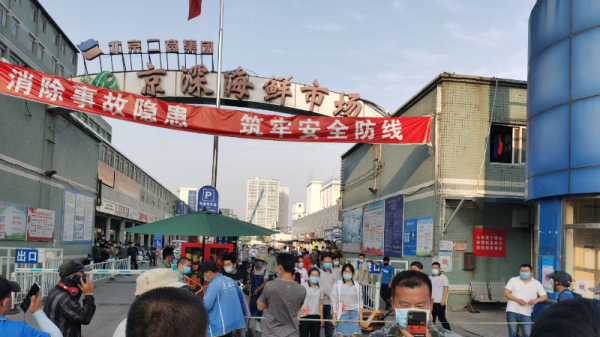 海鲜市场公交路线北京（北京海鲜市场批发）-图2