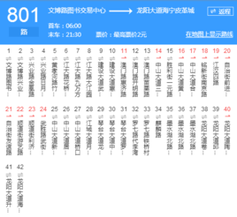 武汉801路公交路线（武汉801路公交路线时间表）-图2