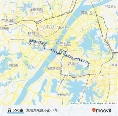 武汉市556路公交路线（武汉556公交车路线图）-图1
