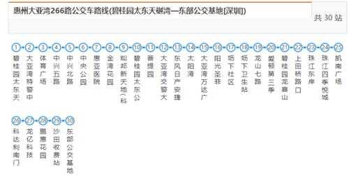 大亚湾263公交路线（大亚湾268公交车）-图3