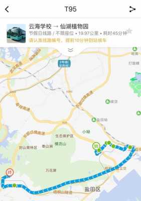 从盐田到仙湖公交路线（盐田到仙湖植物园怎么坐车）-图2