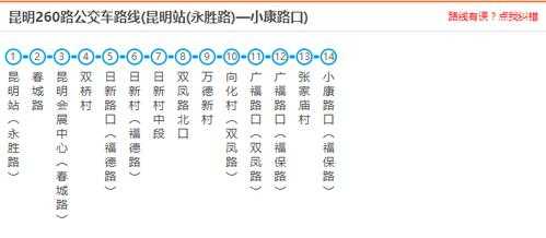 泸州255路公交路线（泸州259路公交车时间表）-图3