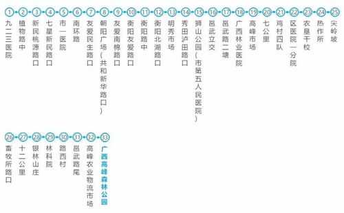 南宁到高峰公交路线（到南宁高峰森林公园有多少路公交车）-图3