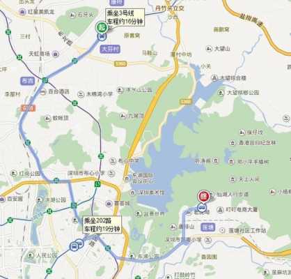 南山区到仙湖公交路线（从南山到仙湖植物园坐什么车?）-图1