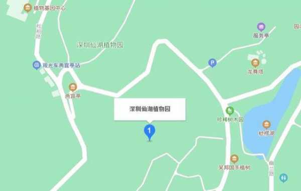 南山区到仙湖公交路线（从南山到仙湖植物园坐什么车?）-图2